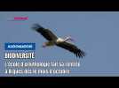 Arques : la LPO relance ses formations sur l'ornithologie