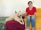 VIDÉO. Une première dans l'Ouest, elle ouvre une crèche pour les chiens en Maine-et-Loire