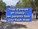 Trop d'élèves en classe : les parents font une flash mob