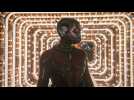 Ant-Man et La Guêpe