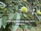 Agriculture - Sept producteurs et transformateurs lancent la marque 
