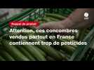 VIDEO. Attention, ces concombres vendus partout en France contiennent trop de pesticides