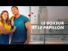 Le boxeur et le papillon