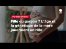 VIDEO. Fille ou garçon ? L'âge et la génétique de la mère joueraient un rôle