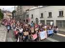 BLOIS / Les manifestants ont répondu présents