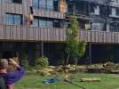 Lille : les images des dégâts au collège Miriam Makeba, touché par un incendie