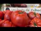 Qu'est-ce que tu food - Teaser