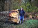 Didier Daclin : Bien vendre ou bien développer son patrimoine forestier