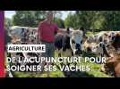 Un éleveur de l'Aisne pas tout à fait comme les autres