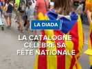 La Diada : plus de 10 000 Catalans dans les rues de Gérone