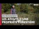 Il a fait de la forêt son jardin : 