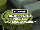 Cachou Lajaunie : Un confiseur situé à Béziers veut reprendre la production