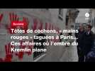 VIDEO. Têtes de cochons, « mains rouges » taguées à Paris... Ces affaires où l'ombre du Kremlin plane