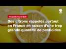 VIDEO. Des citrons rappelés partout en France en raison d'une trop grande quantité de pesticides