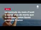 VIDEO. La canicule du mois d'août a causé plus de morts que la normale, selon Santé publique France