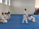 Démonstrations de judo pour l'inauguration du dojo des marcassins à Vaudricourt