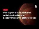 VIDEO. Mars : des signes d'une probable activité microbienne découverts sur la planète rouge