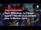VIDÉO. Mondial de rugby. Dans la douleur, la France écarte l'Irlande et se qualifie pour le dernier carré