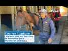 Courses hippiques : Cabriès-Calas, un haut lieu de formation pour chevaux et jockeys