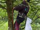Récolte de graines en forêt d'Olhain : « un cru exceptionnel pour les arbres de demain »