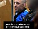Procès de Cédric Jubillar aux assises du Tarn. La vérité ou la justice pour Delphine
