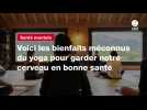 VIDEO. Voici les bienfaits méconnus du yoga pour garder notre cerveau en bonne santé