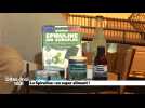 La spiruline : un super aliment !
