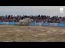VIDEO. Du beau spectacle pour le festival équestre Caval'Océane sur la plage de Saint-Jean-de-Monts