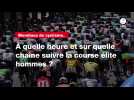VIDÉO. Mondiaux de cyclisme. À quelle heure et sur quelle chaîne suivre la course élite hommes ?