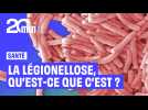 La légionellose, qu'est ce que c'est ?