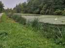 Voyennes : nettoyage du canal de la Somme