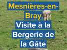 Mesnières-en-Bray. Bergerie de la Gâte
