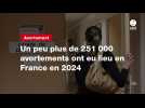 VIDEO. Un peu plus de 251 000 avortements ont eu lieu en France en 2024