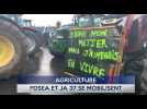 Le Journal - 25/09/2025 - MOBILISATION / Les agriculteurs bientôt sur la paille ?