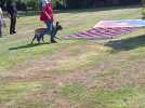 Duisans : Fabrice assouvit sa passion pour le dressage des chiens et devient juge international de sport canin