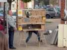Le lâcher de pigeons pour célébrer le centenaire de la mairie à Grenay