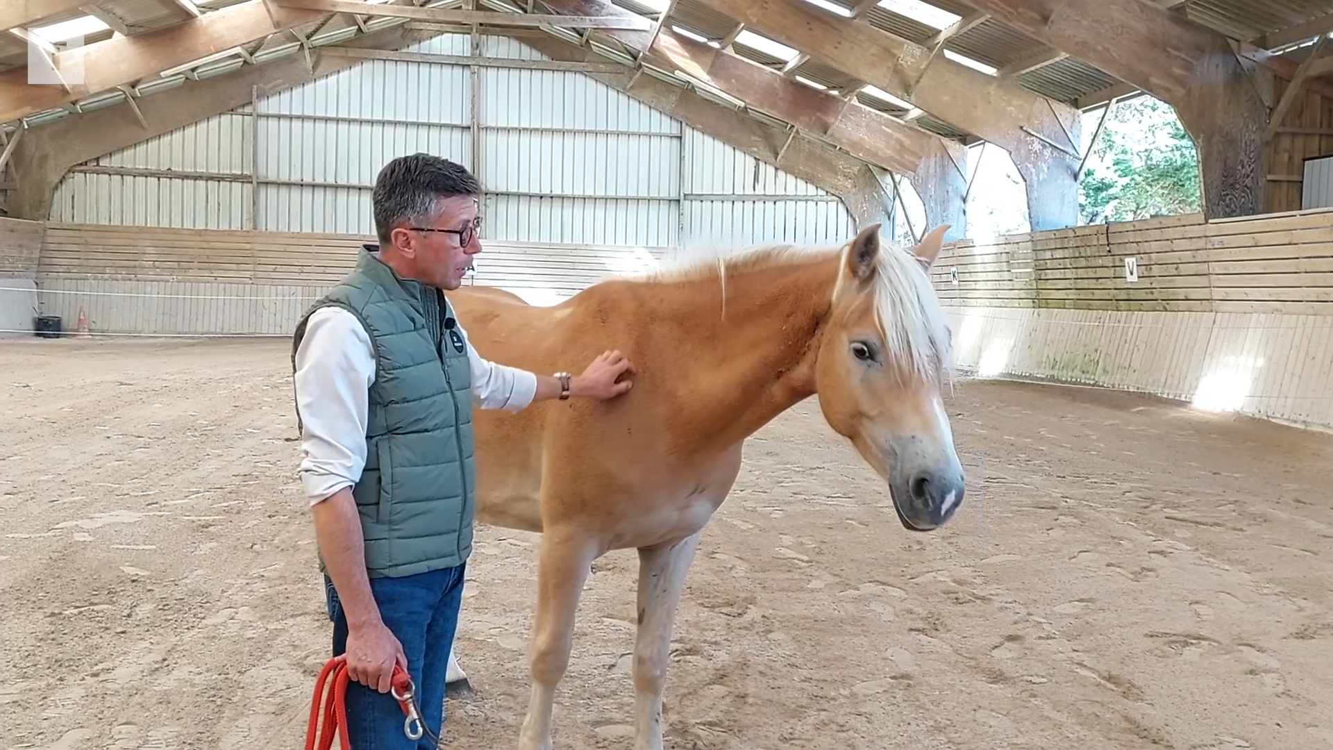 « J'ai compris qu'il fallait faire preuve de patience » : le cheval peut-il devenir un allié pour améliorer les relations au travail ? [Vidéo]
