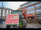 Mercosur et sangliers : deux jeunes agriculteurs vosgiens expliquent leurs craintes