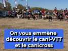 On vous emmène découvrir le cani-VTT et le canicross