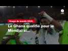 VIDÉO. Coupe du monde 2026. Le Ghana qualifié pour le Mondial après le match contre les Comores si...