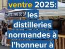 Fête du ventre 2025 : les distilleries normandes aux premières loges