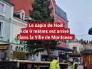 Sapin de Noël Montceau