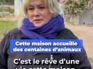 Cette maison accueille des centaines d'animaux maltraités, et elle se trouve dans les Alpes-Maritimes