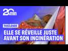 En Thaïlande, en femme se réveille dans son cerceuil juste avant son incinération