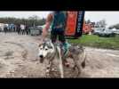 L'Arche de la nature, terrain de jeu des meilleurs chiens de traîneau français