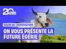 Voici la future star du Salon de l'Agriculture 2026