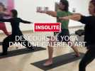 Insolite : du yoga dans une salle d'art
