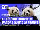 Le célèbre couple de pandas du zoo de Beauval quitte la France pour rejoindre la Chine