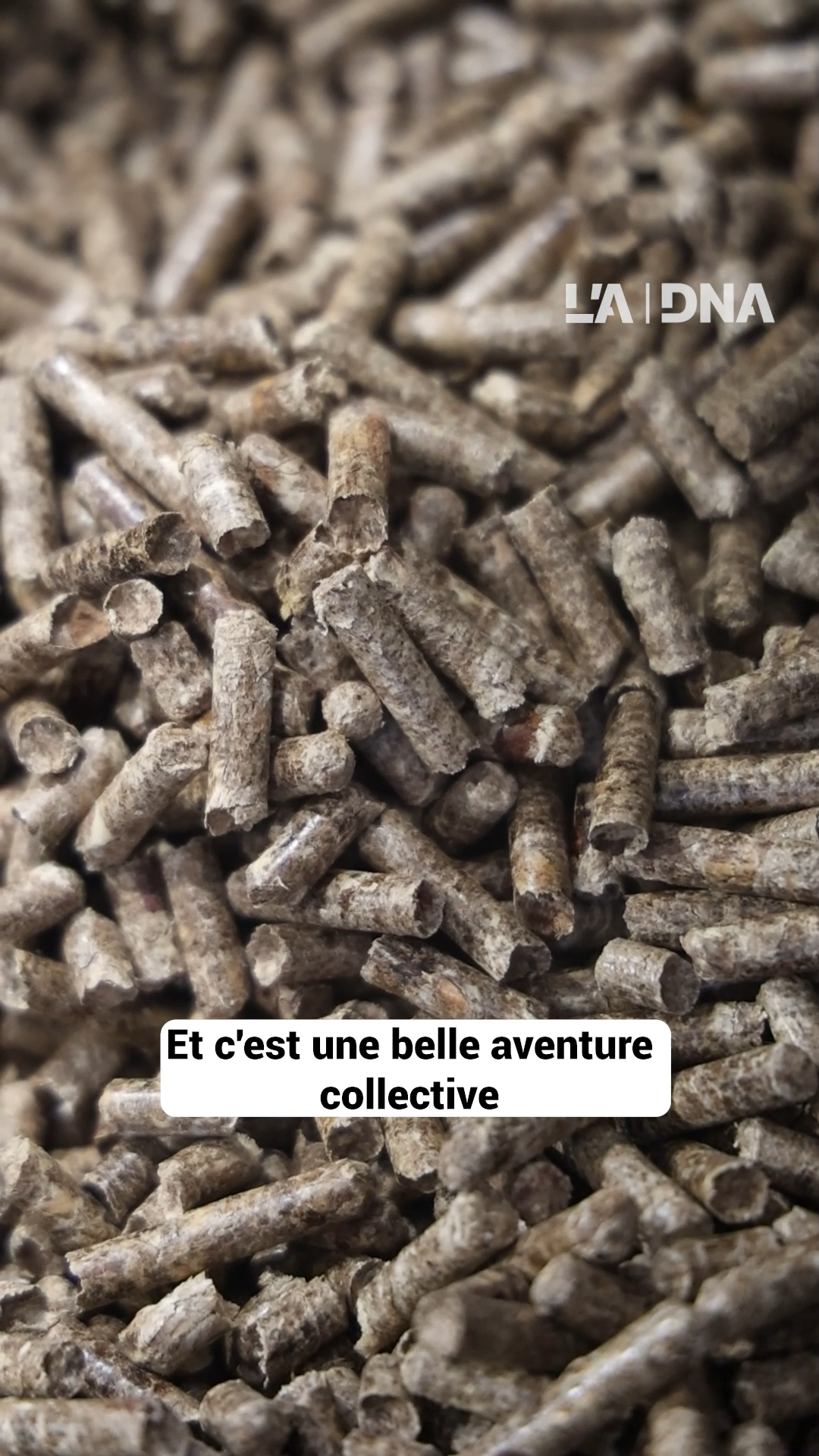 Vidéo. $content.TitleNoTags