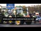 Mobilisation des agriculteurs dans le Cher. Rassemblement vers l'A20 et à Bourges.